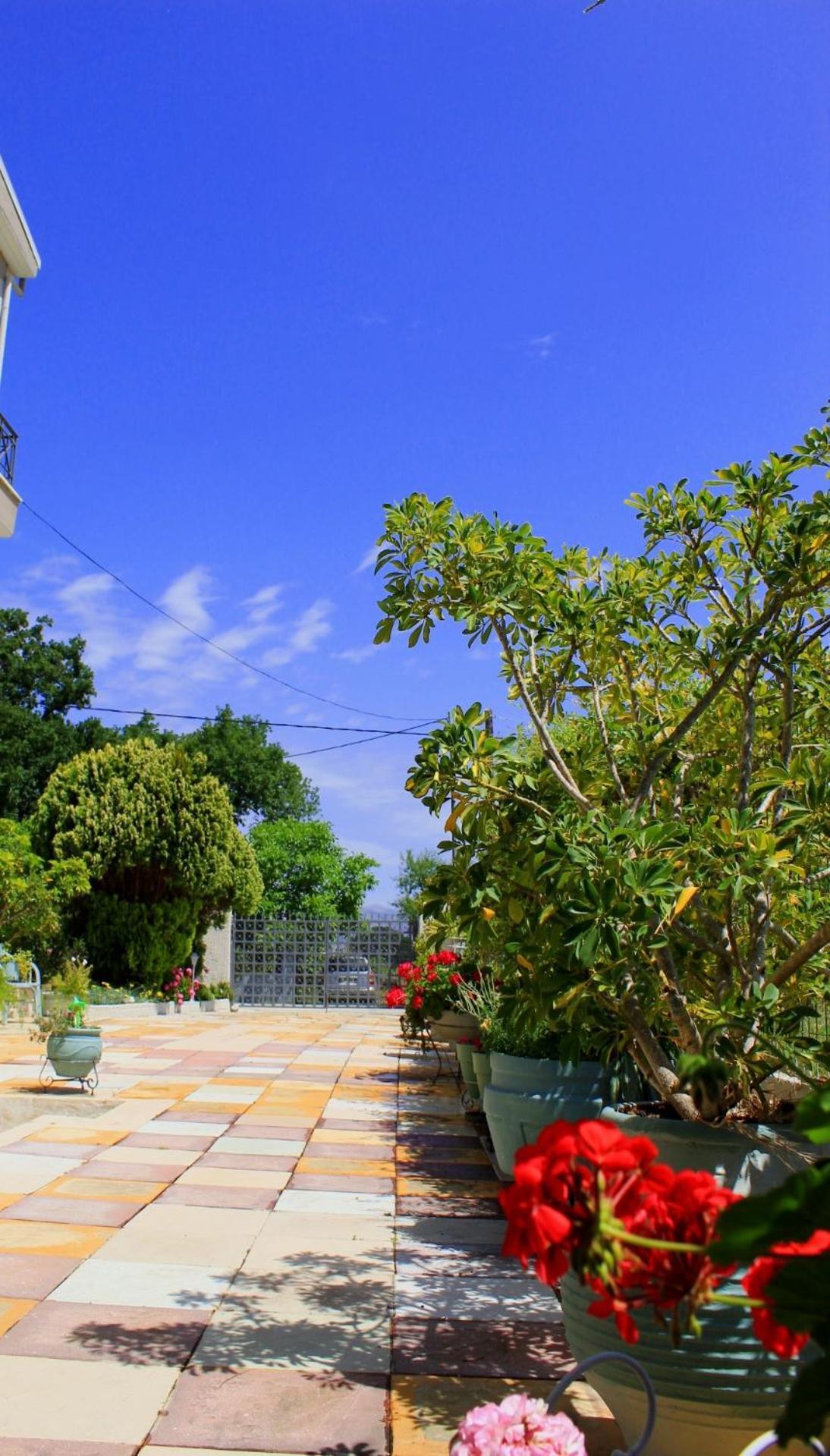 Olyna'S Apartment N.S Preveza Nea Sampsounta Zewnętrze zdjęcie